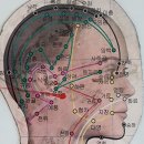 2.29~3.2 발바닥/땀/혀/눈/자폐증/뇌성마비/간경화/변비/배/입술떨림등 이미지