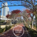 박현욱 행정사 사무소 이미지