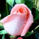 아름다운동행 이미지