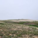 사구농장 이미지