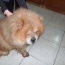 신월동119 이미지