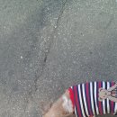 장금이 해장국 이미지