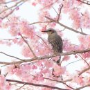 부산배화학교 이미지