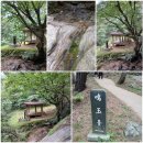 용이동 소로 2-672 | [2025.06.28-29] 안동여행 2일차 3.안동 봉정사