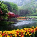 프린스파크 이미지