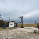 교동면-4 이미지