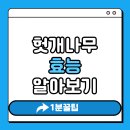 신체의 열매 | 헛개나무 열매 효능 알아보기