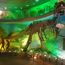 경상북도산림과학박물관 이미지