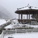 무릉도원후도인성학교 이미지