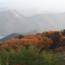 김수자농장 이미지