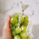 영희네 산지직송