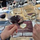 오일프러스 | 음성 푸르지오 마크베르 아파트 단지 내 와인 클래스 하는 날~