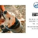 인덕원동물의료센터 네이버블로그