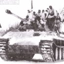 NR-25[보청대로]-하-32 | 애매한 개념과 정체성의 용어: 하이브리드 티거