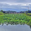 세종공원 이미지