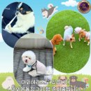 반달유치원 이미지