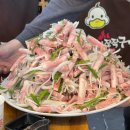 분당판교-A-103 이미지