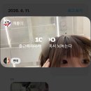 사부작사부작(사회부적응자가 걷는소리)