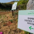 가족농장 이미지