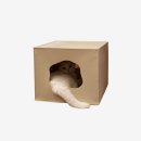 이투축산 | 반려동물 입양 전 준비물 완벽 가이드 🐶🐱(고양이편)