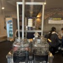 원천유원지 | 원천동 맛집 원천유원지 수원 냉삼 앨리웨이점 맛집 후기~^^