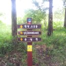 안심산 둘레길 이미지