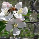 성연농장 이미지