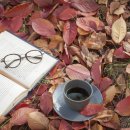 쿡앤푸드 이미지