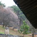 사색의길(종학당) 이미지