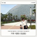 더큰사랑의원 | [거제] 아이랑가볼만한곳 추천 가족끼리 다녀오기 좋았던 거제식물원 후기