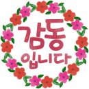 생각 쑥쑥 신나는 책읽기 네이버블로그