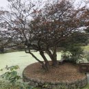 윤증묘소 | 명재고택에서 당파의 분열을 생각하다