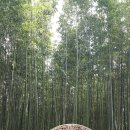 덕천교회 이미지