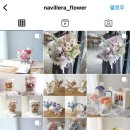 나빌레라플라워
