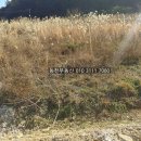 구산면600 이미지