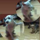 룰루모텔 이미지