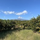 토평동-1 이미지