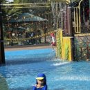 네네치킨(언양) 이미지