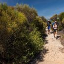 아이러브호주 이미지