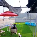 제이 애견 호텔 이미지