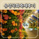 유림이네 | 대전 유성국화축제 후기 유림공원 국화개화상황 주차 먹거리 야경