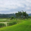 포도컨트리클럽 이미지