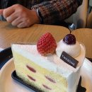 파리바게뜨대전용산호반점 | ☕🍓 깔끔하고 넓었던 투썸플레이스 대전용산호반점