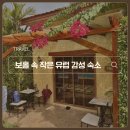 제일열쇠설비 | 보홀 가성비 숙소 라 카사 디 베아트리체 | 유럽 감성 수영장 조식 솔직후기