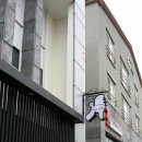 퍼피홀릭 제주 이미지