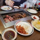멋진별여행사