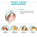 유화장 이미지