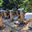 바우축산 이미지