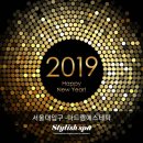 2018년 한해를 보내며-좋아진 후기 모음전 시바산시조피린/발삼키트/데미지부스터/카푸치니산소관리...
