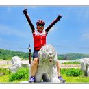 영천체육공원 이미지